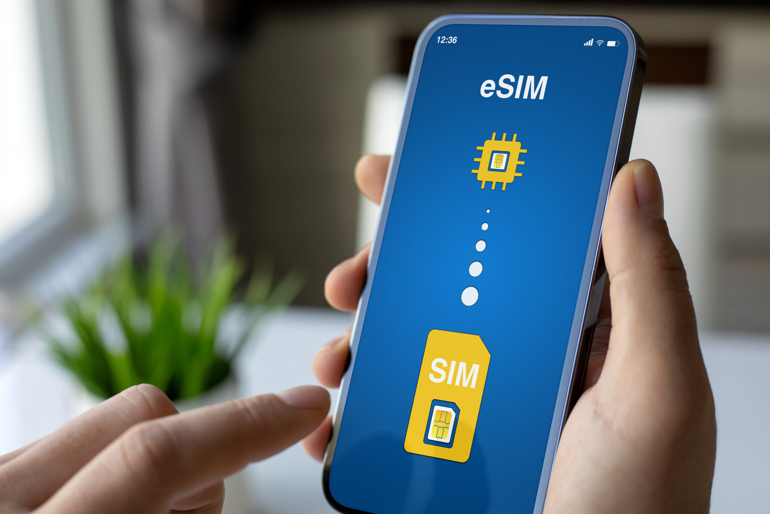 eSIM-in-Device Profile Tester